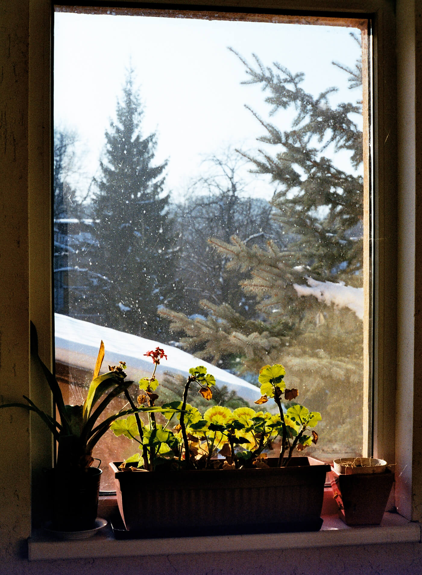 Peak through a wintery window in Bankya
